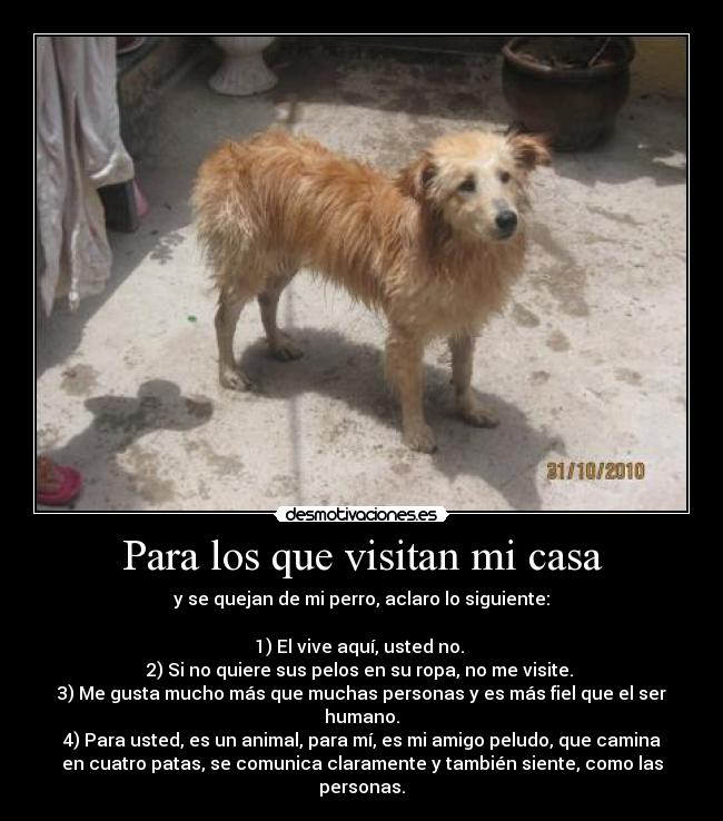 Para los que visitan mi casa - y se quejan de mi perro, aclaro lo siguiente:

1) El vive aquí, usted no. 
2) Si no quiere sus pelos en su ropa, no me visite. 
3) Me gusta mucho más que muchas personas y es más fiel que el ser
humano.
4) Para usted, es un animal, para mí, es mi amigo peludo, que camina
en cuatro patas, se comunica claramente y también siente, como las
personas.