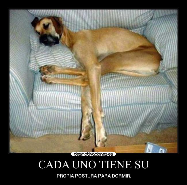 CADA UNO TIENE SU -