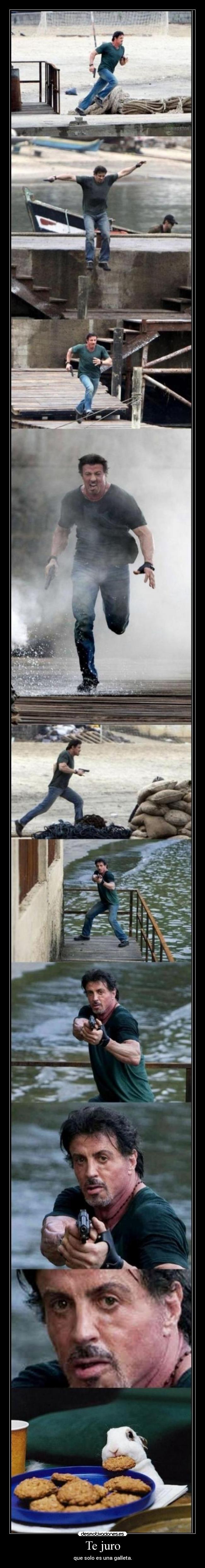 Te juro - que solo es una galleta.
