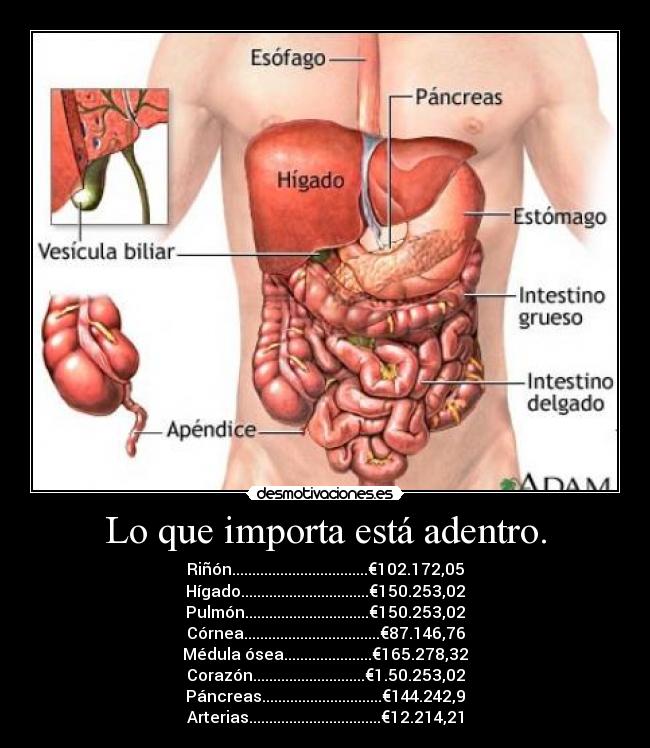 Lo que importa está adentro. -