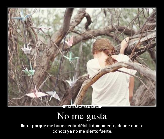 No me gusta - llorar porque me hace sentir débil. Irónicamente, desde que te
conocí ya no me siento fuerte.