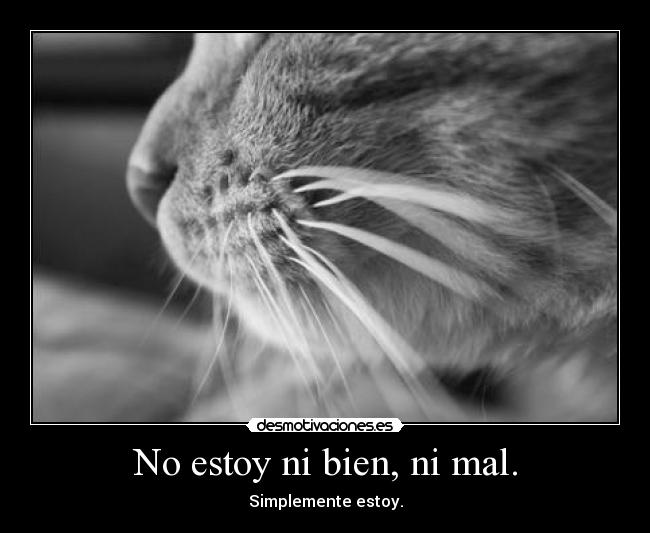 No estoy ni bien, ni mal. - Simplemente estoy.