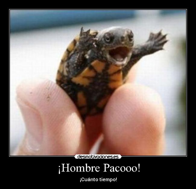 ¡Hombre Pacooo! - 