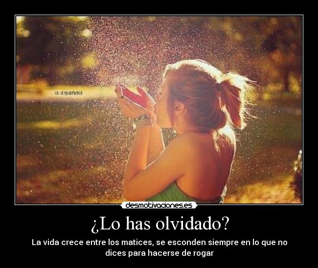 ¿Lo has olvidado? -