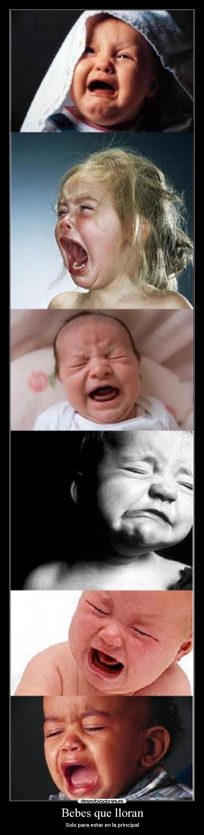 Bebes que lloran -