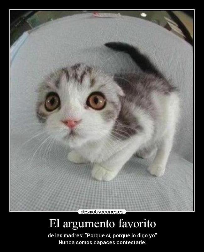 El argumento favorito -