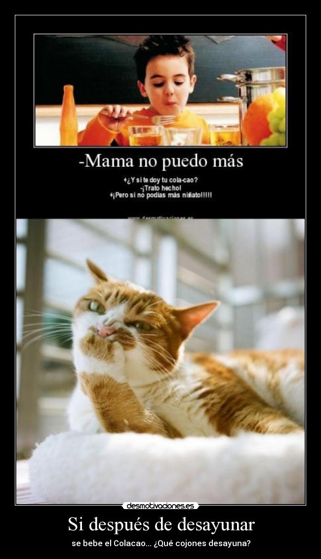 Si después de desayunar - se bebe el Colacao... ¿Qué cojones desayuna?