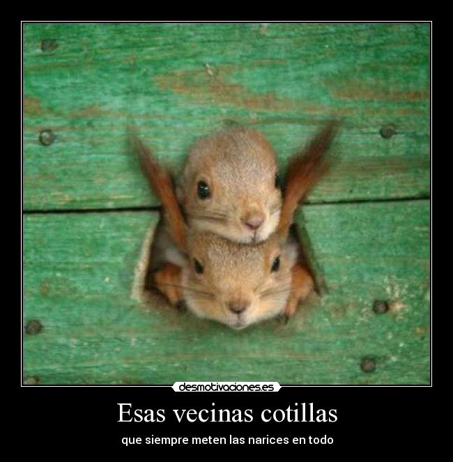 Esas vecinas cotillas - 