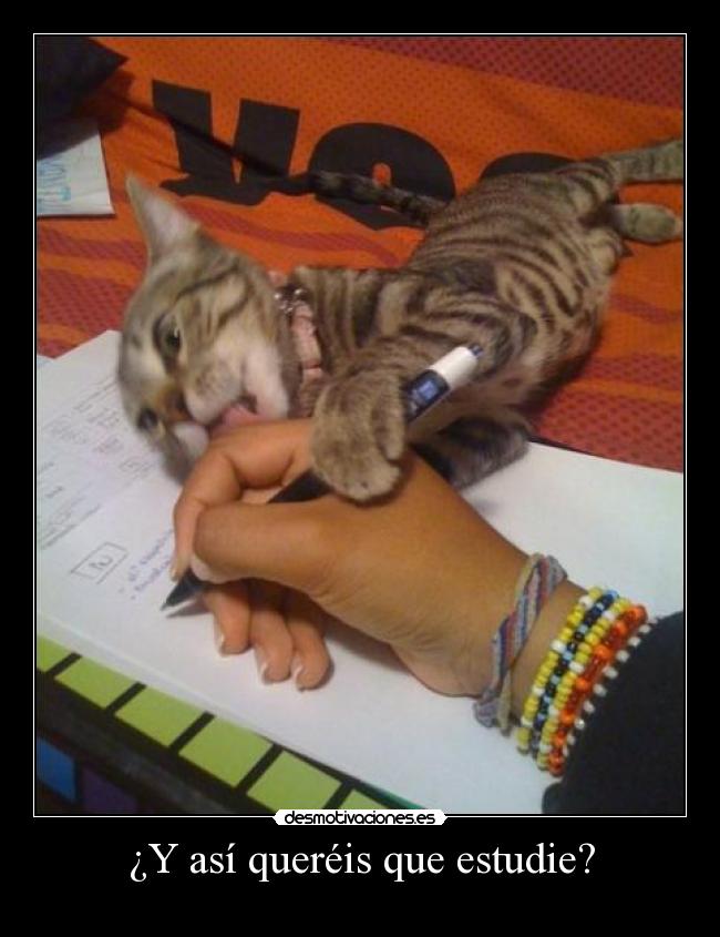 ¿Y así queréis que estudie? -
