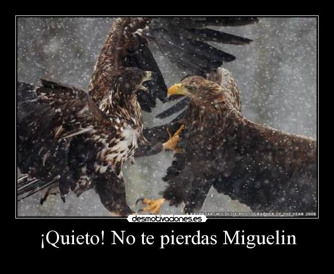 carteles sdfs desmotivaciones