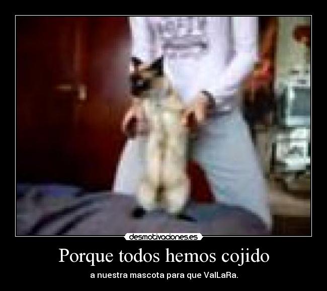 Porque todos hemos cojido - a nuestra mascota para que VaILaRa.