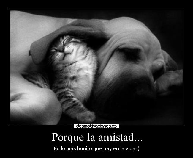 Porque la amistad... -