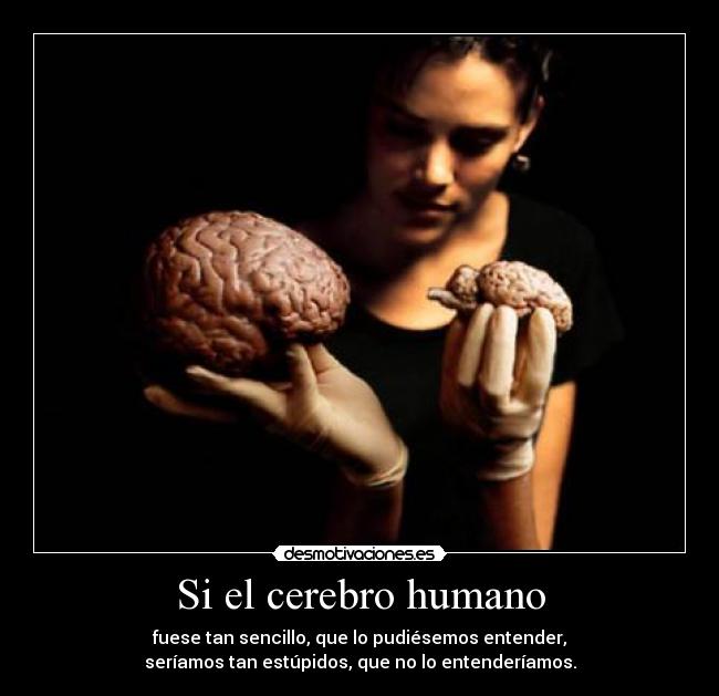 Si el cerebro humano - fuese tan sencillo, que lo pudiésemos entender,
seríamos tan estúpidos, que no lo entenderíamos.