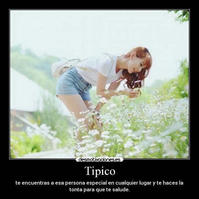 Tipico -
