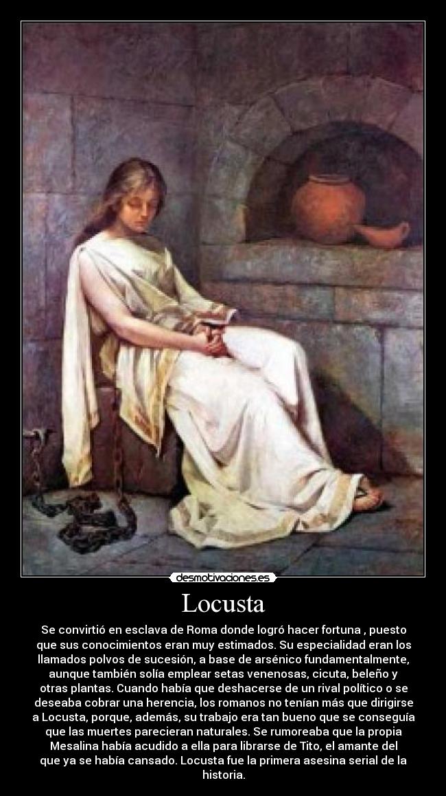 Locusta - 