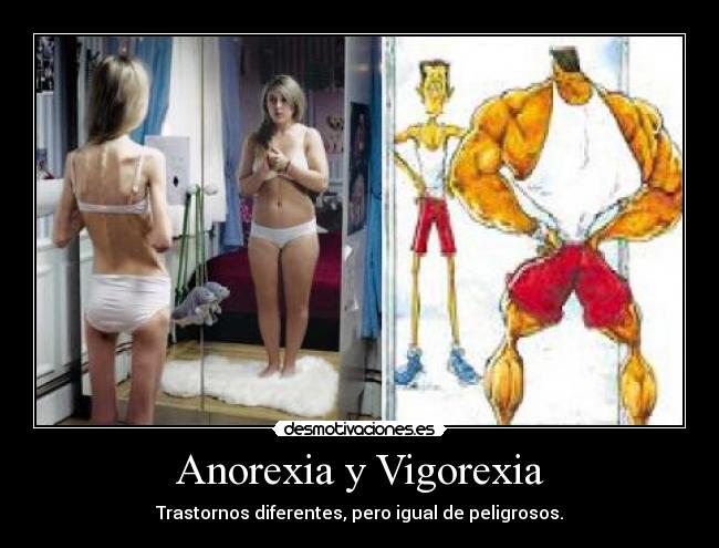 carteles anorexia vigorexia complejos trastornos desmotivaciones