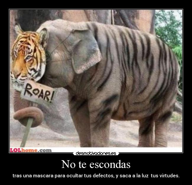 No te escondas - tras una mascara para ocultar tus defectos, y saca a la luz  tus virtudes.