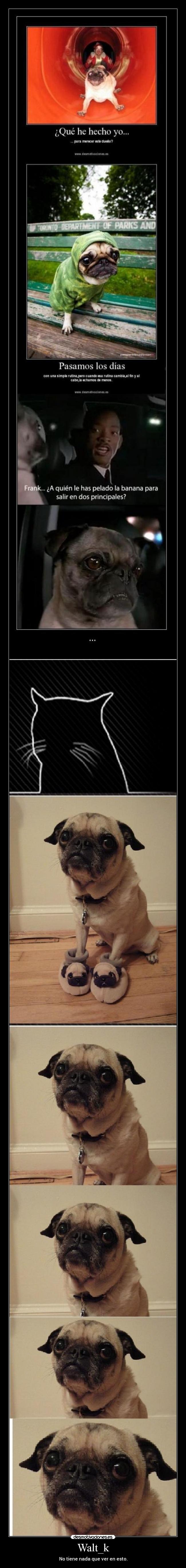 Walt_k - No tiene nada que ver en esto.