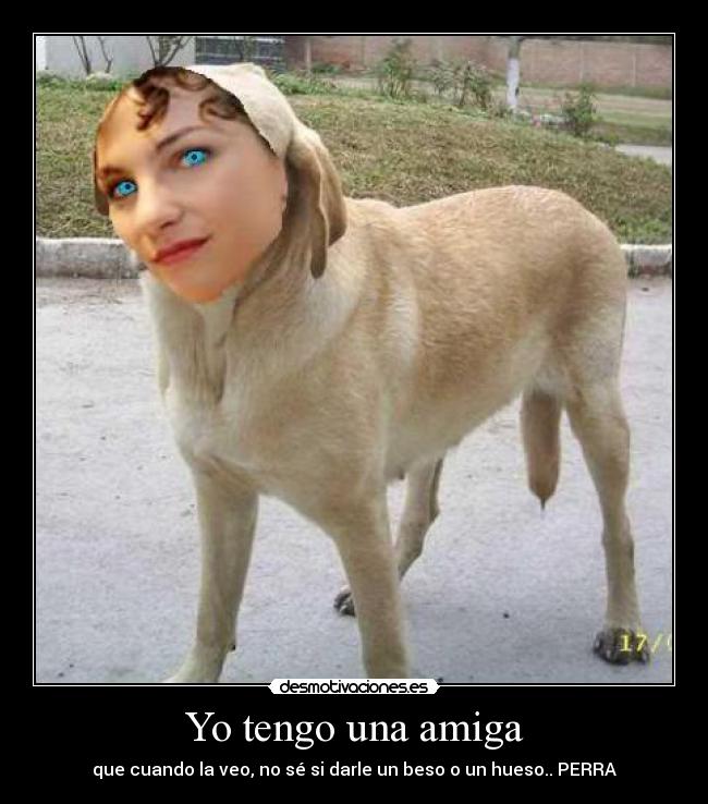 carteles amigas perras beso hueso desmotivaciones