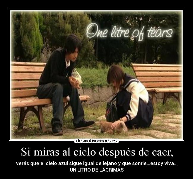 Si miras al cielo después de caer, - verás que el cielo azul sigue igual de lejano y que sonrie...estoy viva...
UN LITRO DE LÁGRIMAS