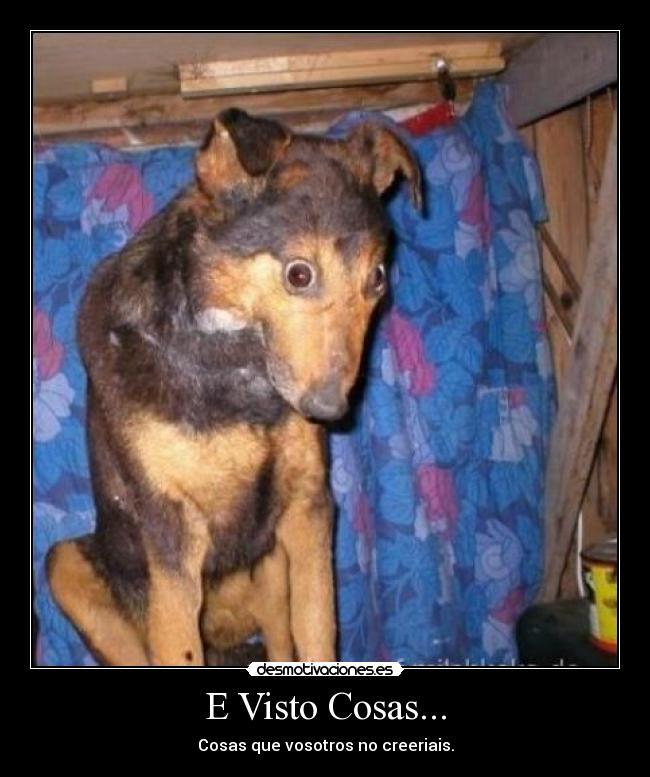 E Visto Cosas... - Cosas que vosotros no creeriais.