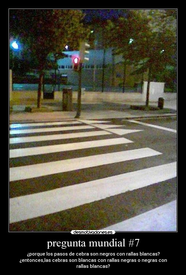 carteles malditas cebras siempre haciendo utilizar nuestras vagas neuronas desmotivaciones