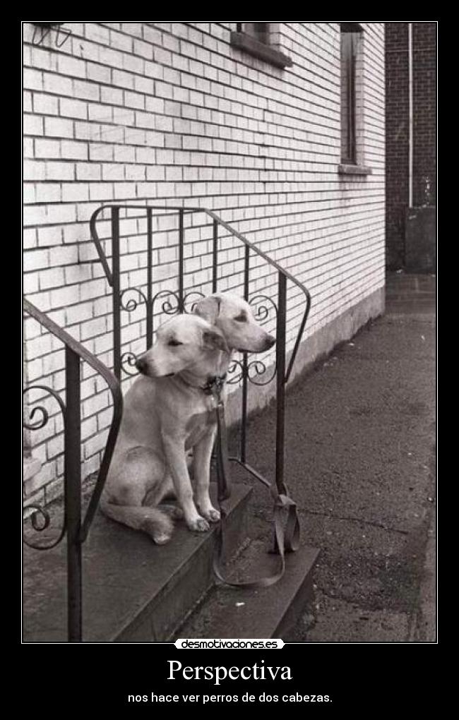 carteles perros desmotivaciones