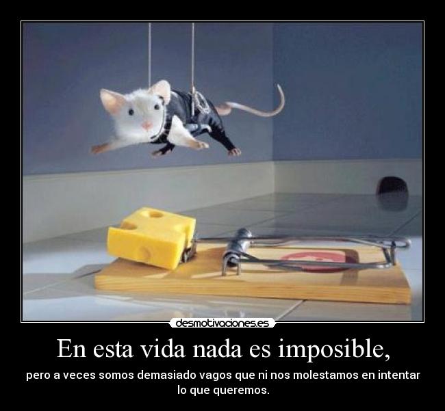 En esta vida nada es imposible, - pero a veces somos demasiado vagos que ni nos molestamos en intentar
lo que queremos.