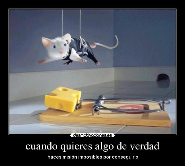 carteles peke89 mision imposible querer cosas verdad desmotivaciones