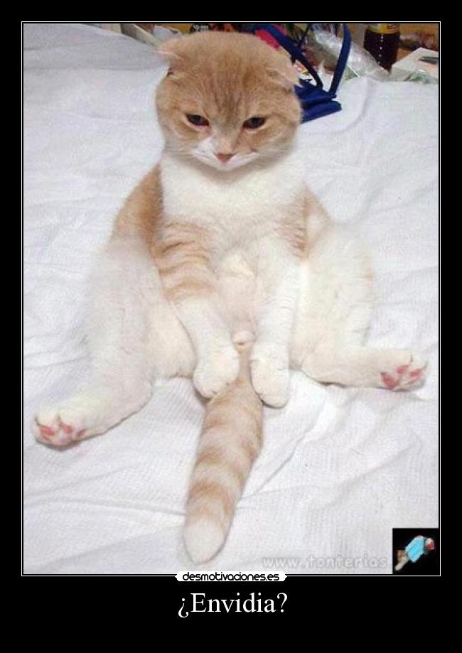 ¿Envidia? -