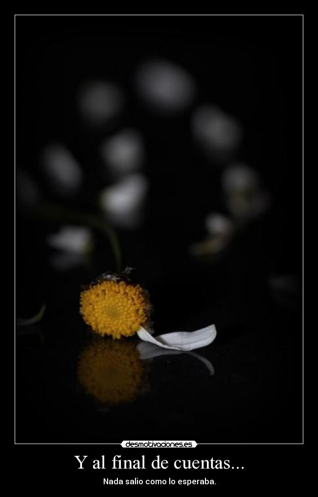 Y al final de cuentas... - Nada salio como lo esperaba.
