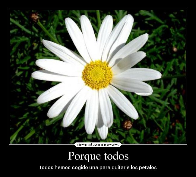 carteles jalonsogol desmotivaciones