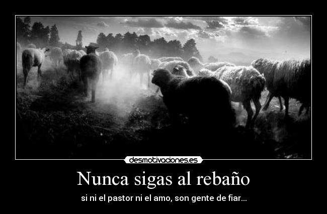 Nunca sigas al rebaño - si ni el pastor ni el amo, son gente de fiar...