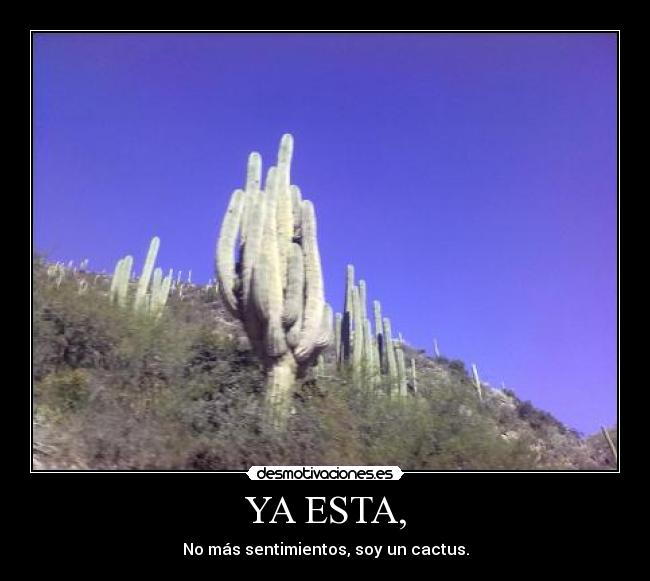 YA ESTA, - No más sentimientos, soy un cactus.