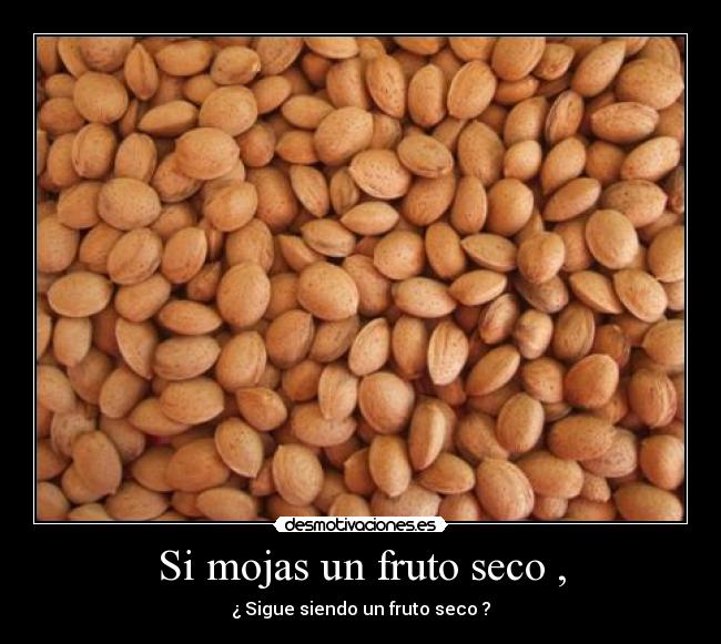 Si mojas un fruto seco , - 