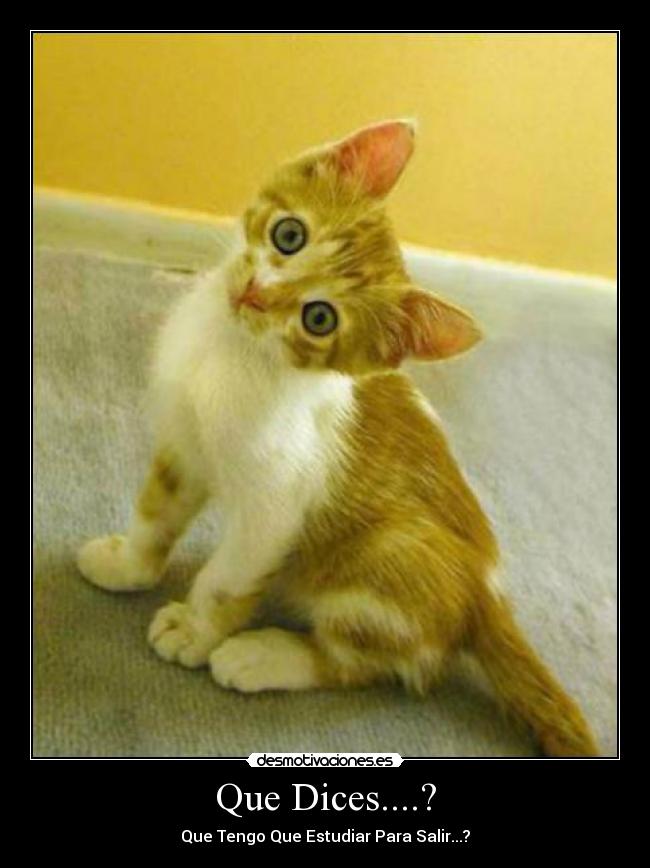 Que Dices....? - 