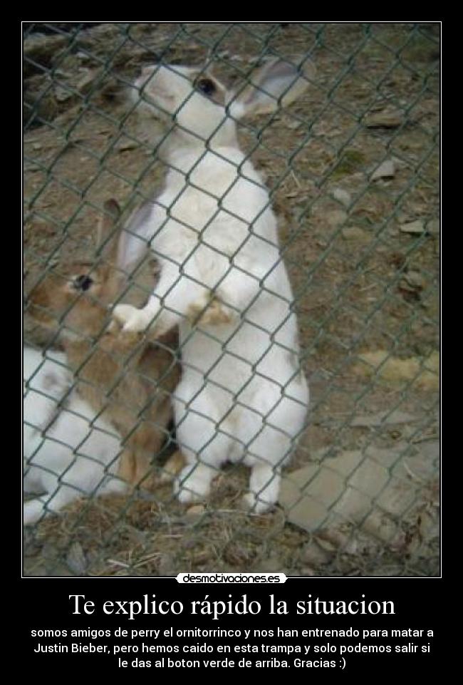 Te explico rápido la situacion - 