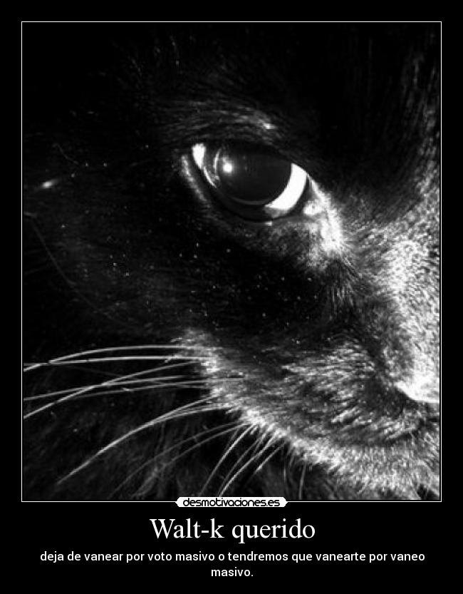 Walt-k querido -