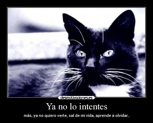 Ya no lo intentes - 