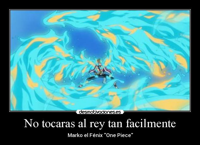 No tocaras al rey tan facilmente - Marko el Fénix One Piece
