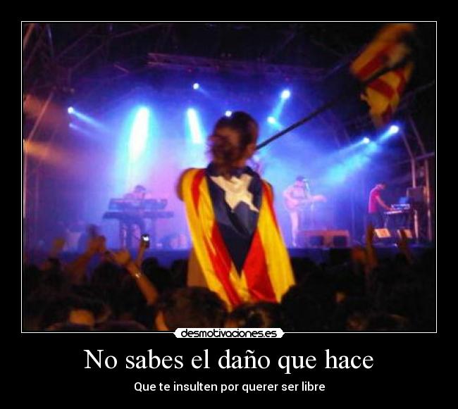 carteles libre desmotivaciones