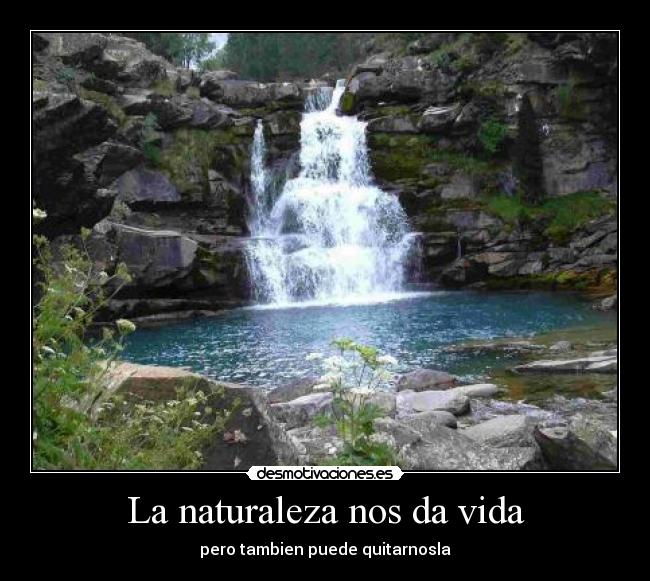 La naturaleza nos da vida -