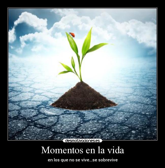 Momentos en la vida - en los que no se vive...se sobrevive