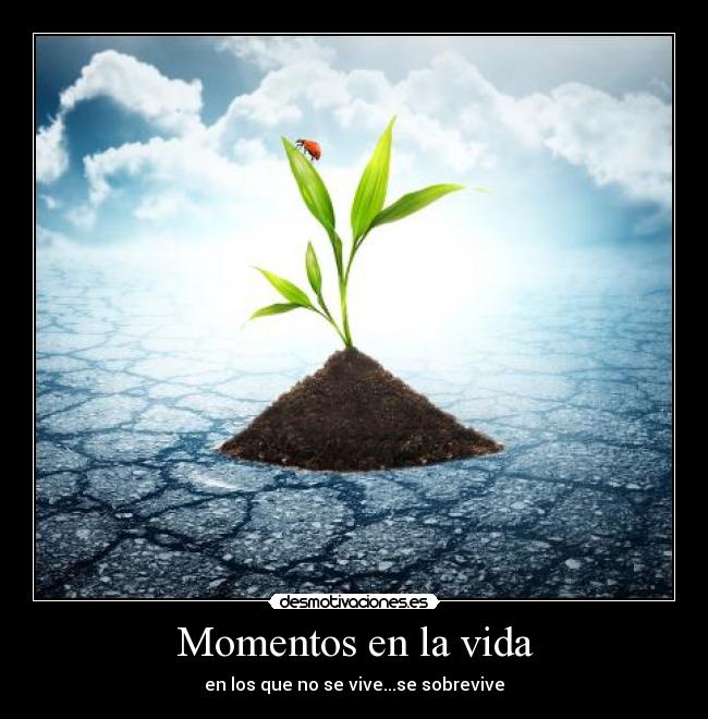 Momentos en la vida - en los que no se vive...se sobrevive