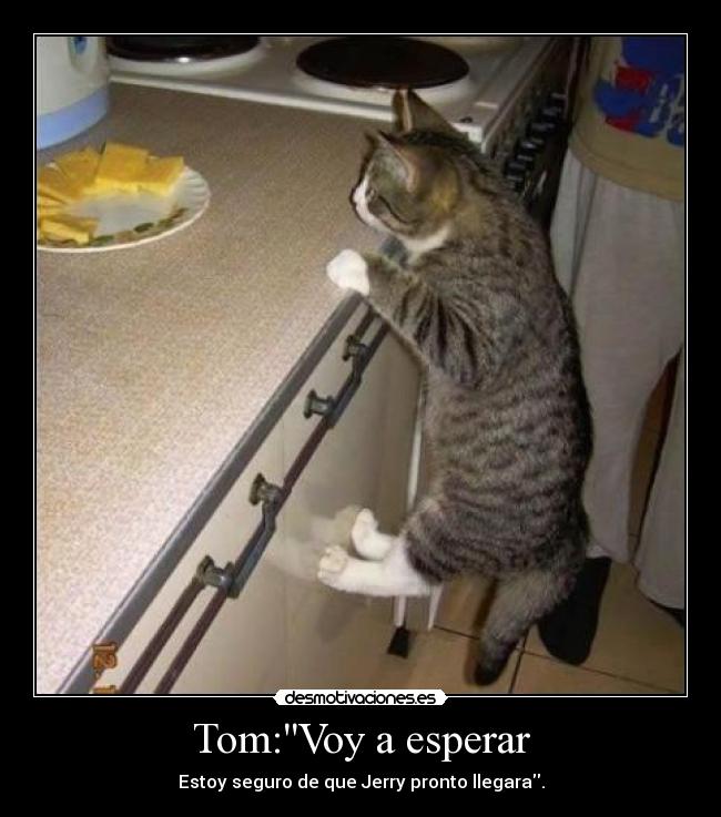 Tom:Voy a esperar -