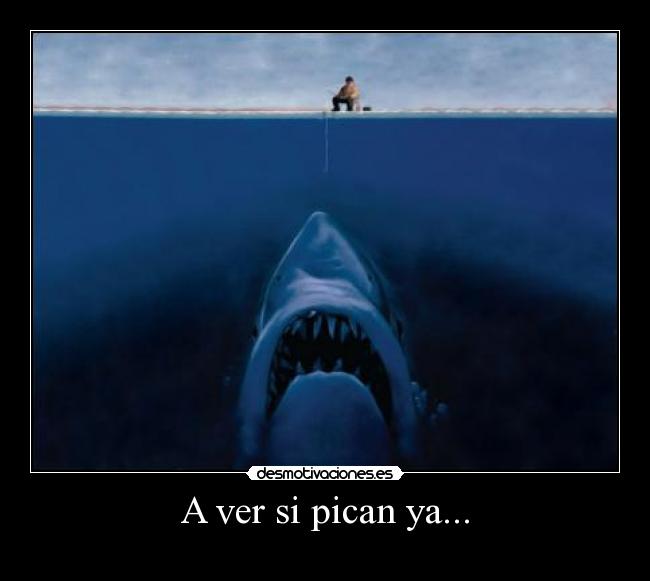 A ver si pican ya... -