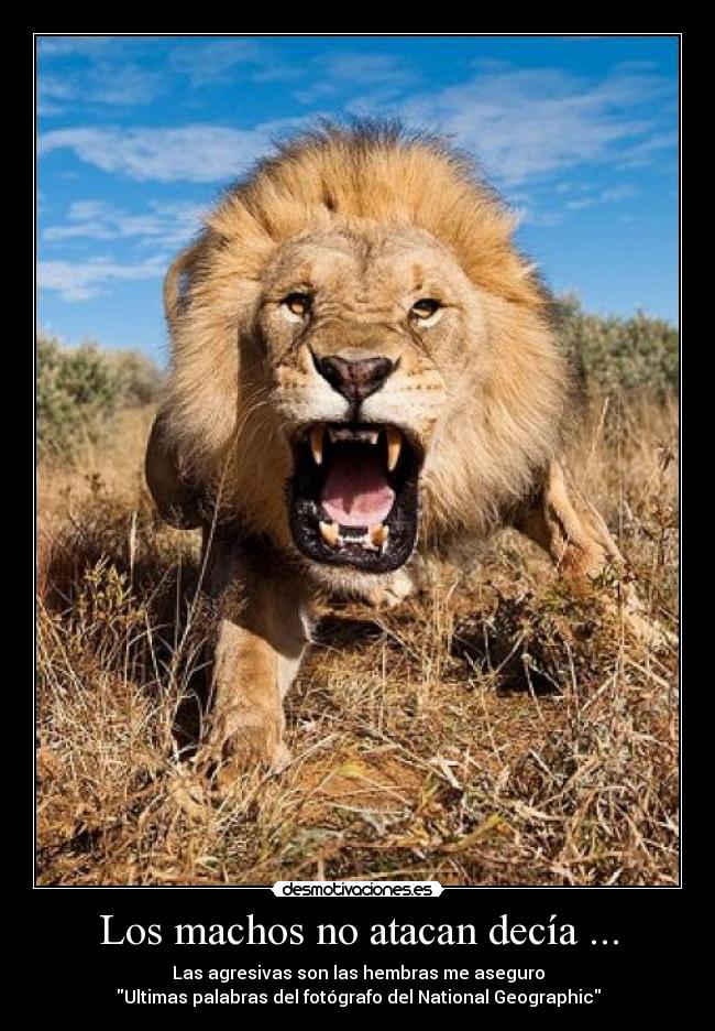 carteles que poco nos durado pobre fotografo pero cacho foto que logro sacar desmotivaciones