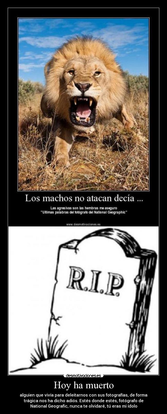 Hoy ha muerto - 