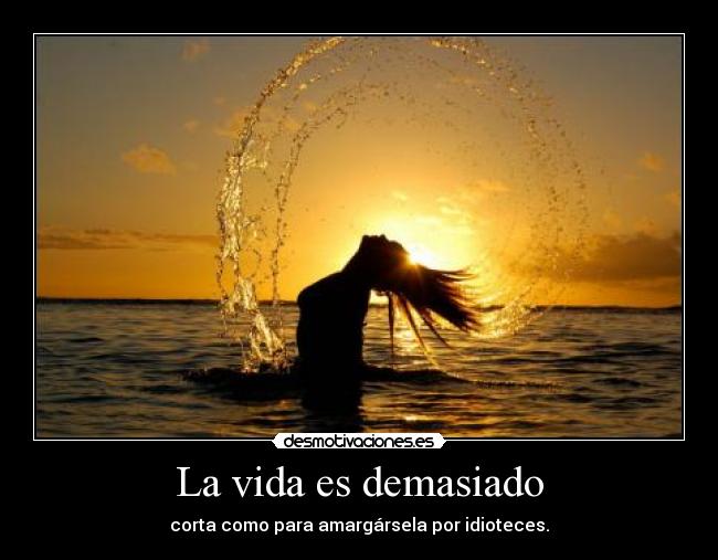 La vida es demasiado - 