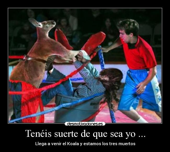 Tenéis suerte de que sea yo ... -